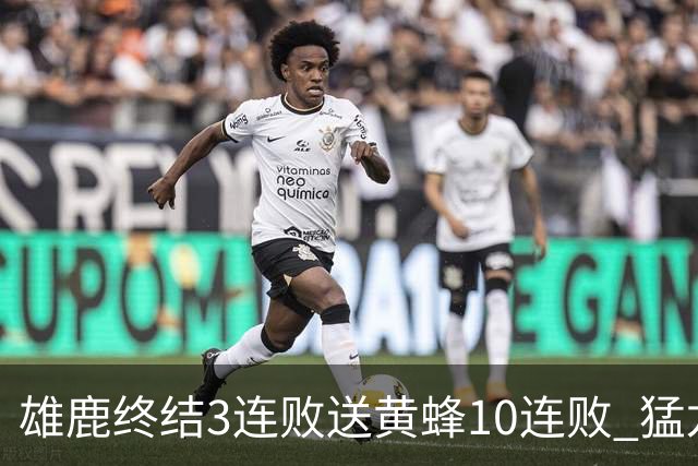 雄鹿终结3连败送黄蜂10连败 猛龙送火箭3连败